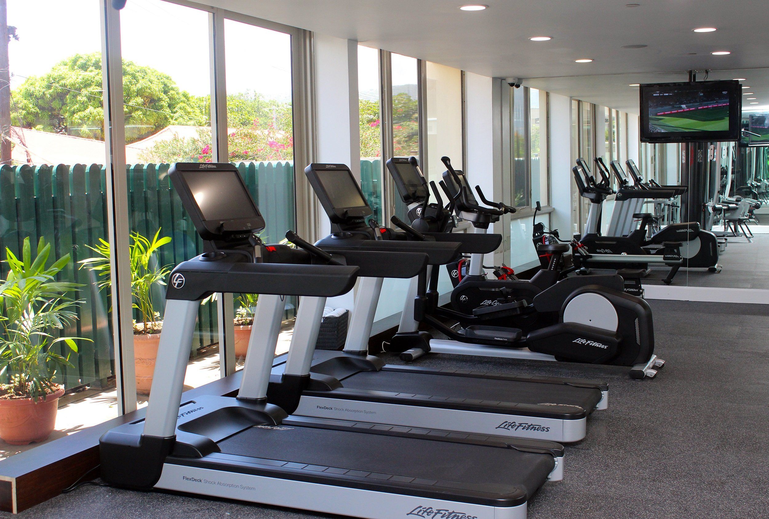 Palestra