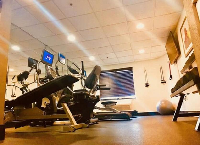 Palestra Foto