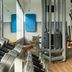 Palestra