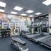 Palestra