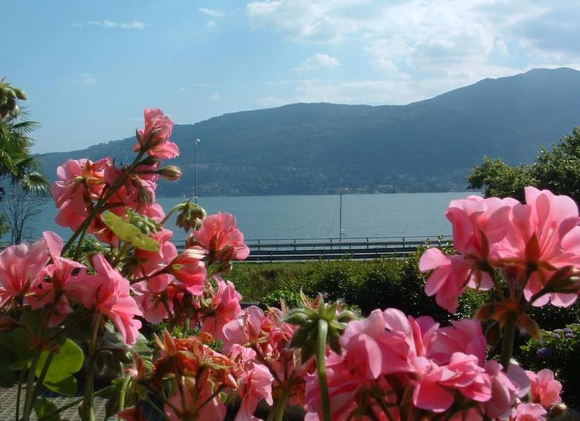 Vista esterna Foto