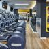 Palestra