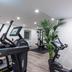 Palestra