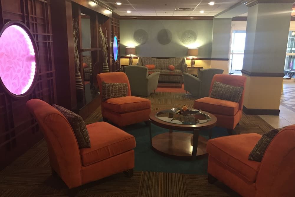 Area lounge