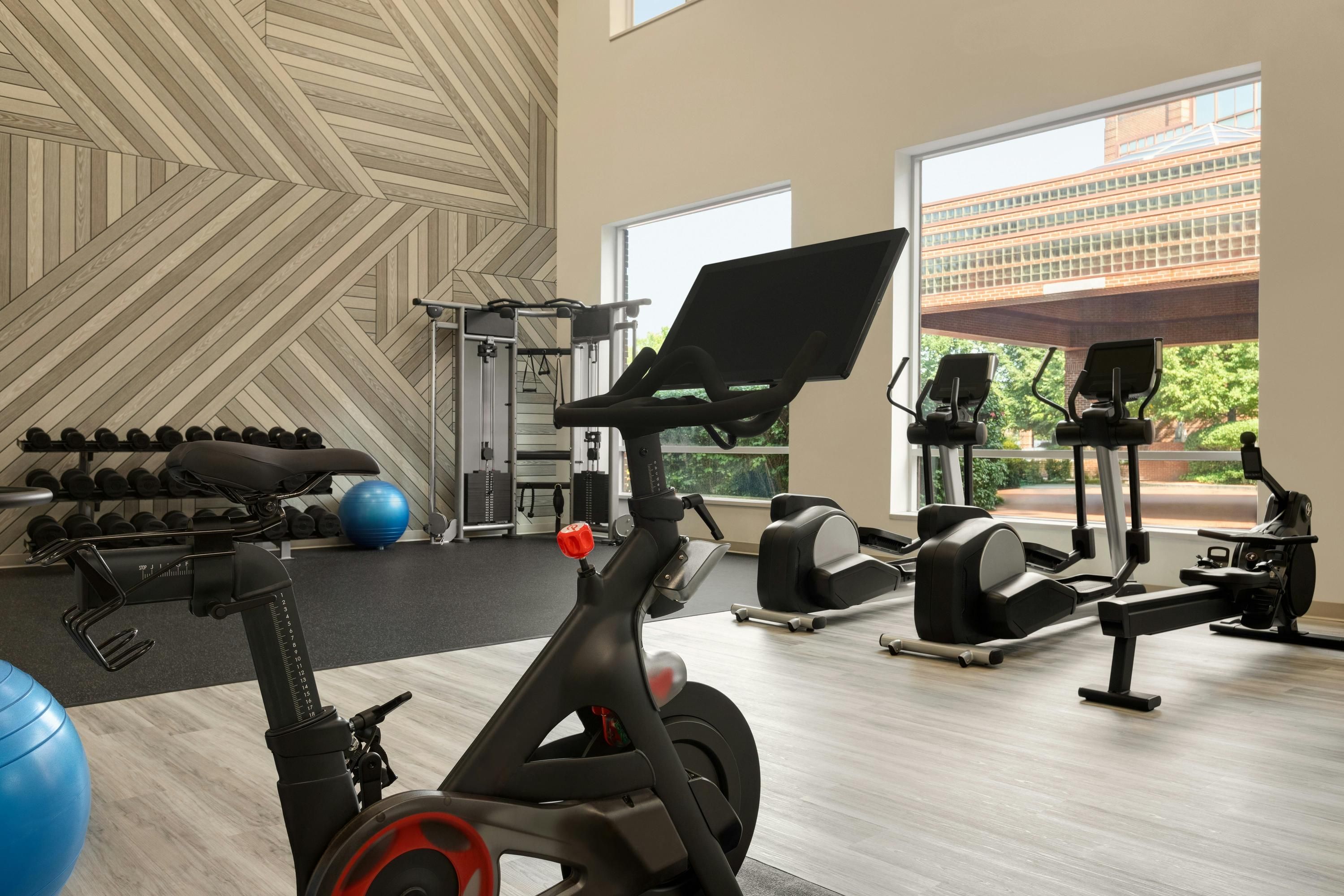 Palestra