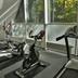 Palestra