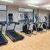 Palestra