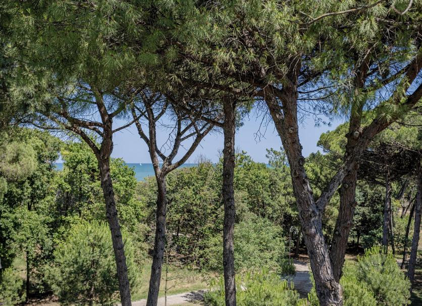 Vista esterna Foto