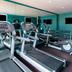 Palestra