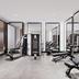 Palestra