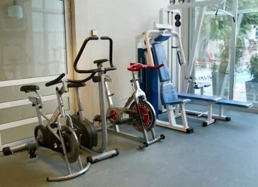 Palestra Foto