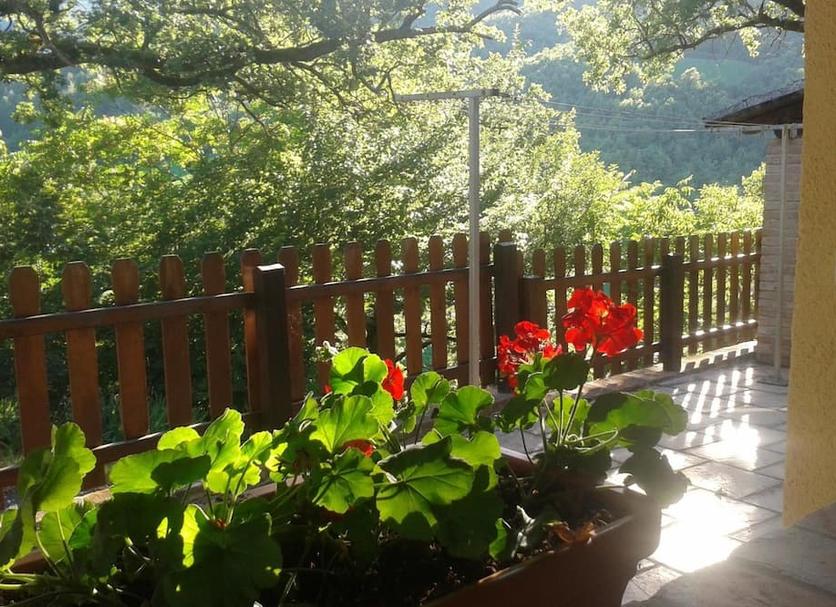 Vista esterna Foto