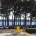 Vista esterna