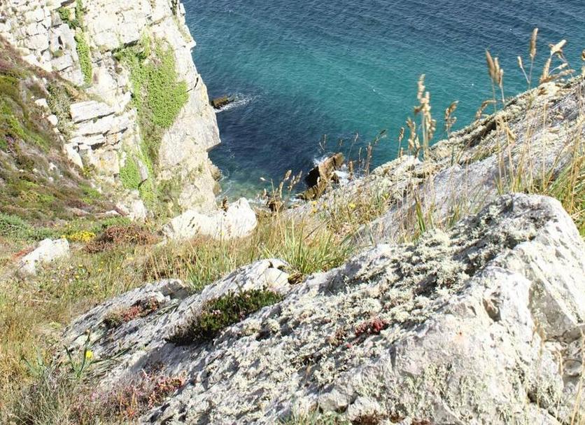 Spiaggia Foto