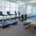 Palestra