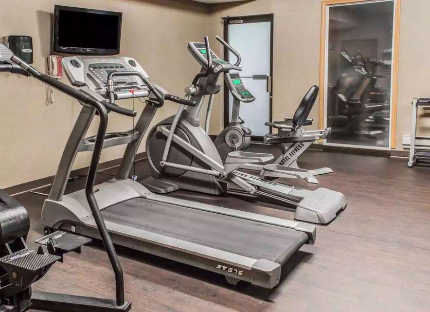 Palestra Foto