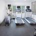 Palestra
