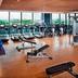 Palestra