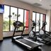Palestra