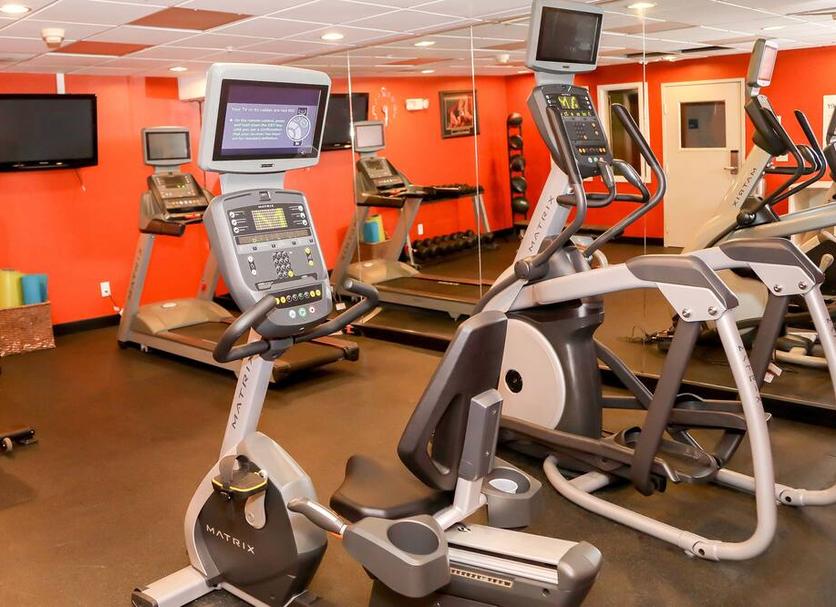 Palestra Foto