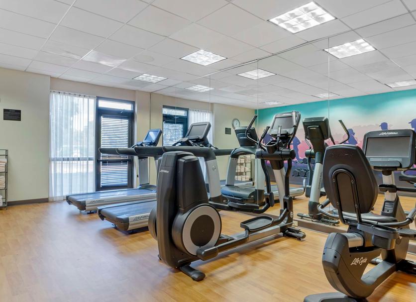 Palestra Foto
