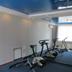 Palestra