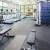 Palestra
