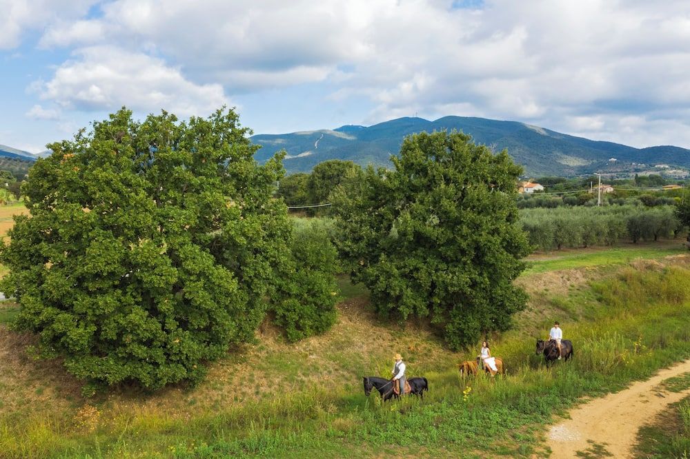 Vista esterna