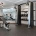 Palestra