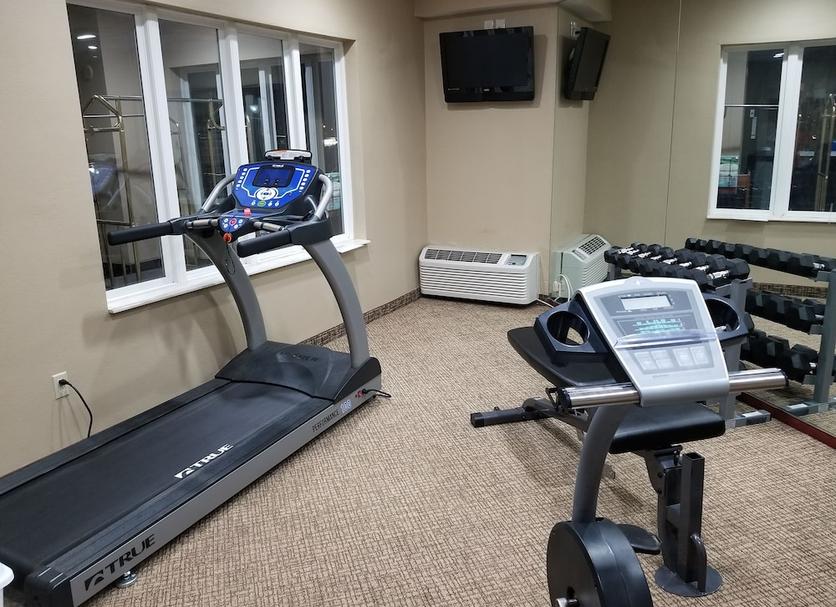 Palestra Foto