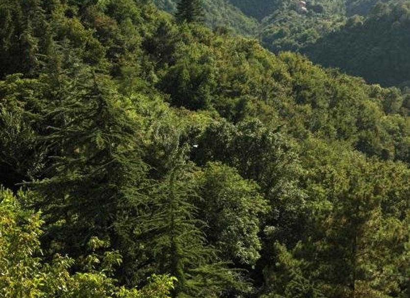 Vista esterna Foto