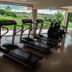 Palestra