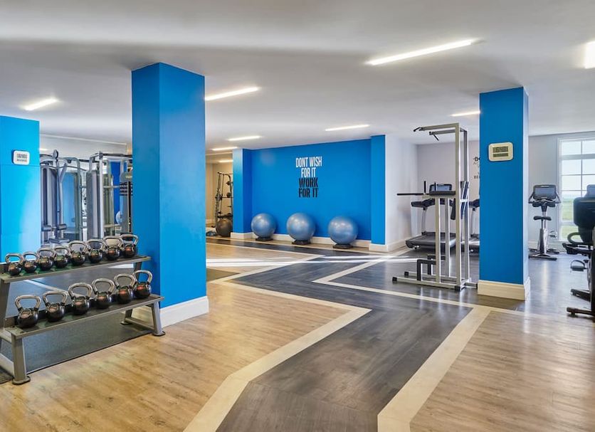 Palestra Foto