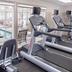 Palestra