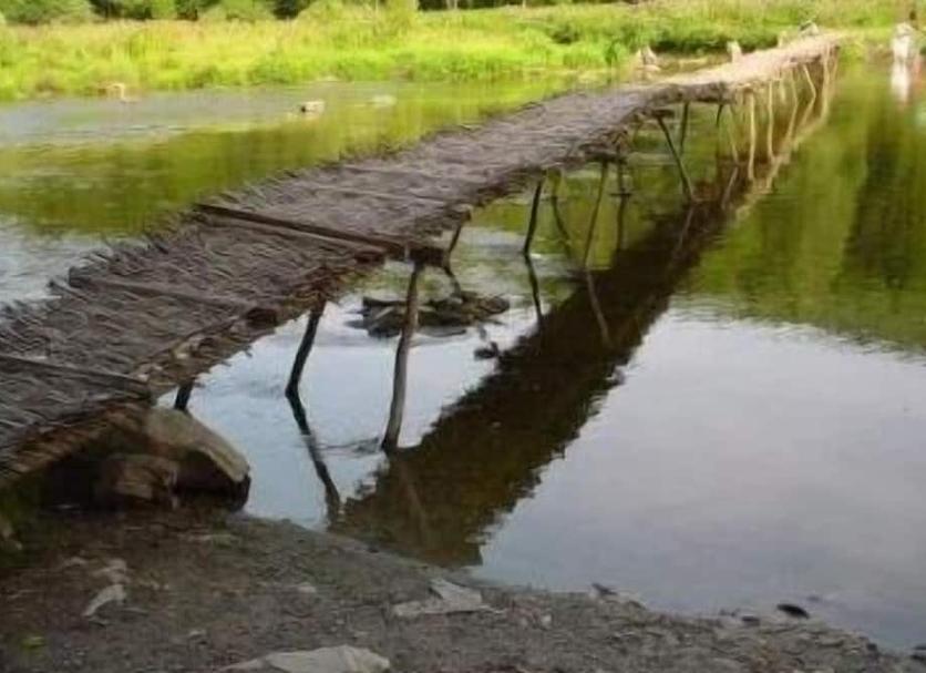 Altro Foto