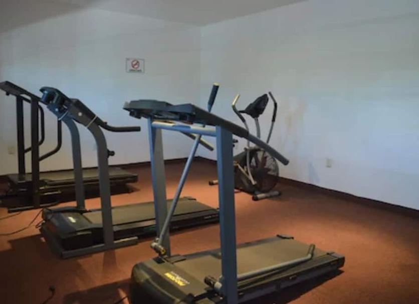 Palestra Foto