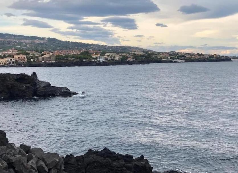 Altro Foto