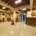 Ingresso