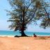Spiaggia