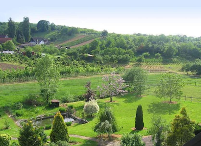 Vista esterna Foto