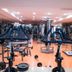Palestra