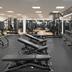 Palestra