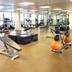 Palestra