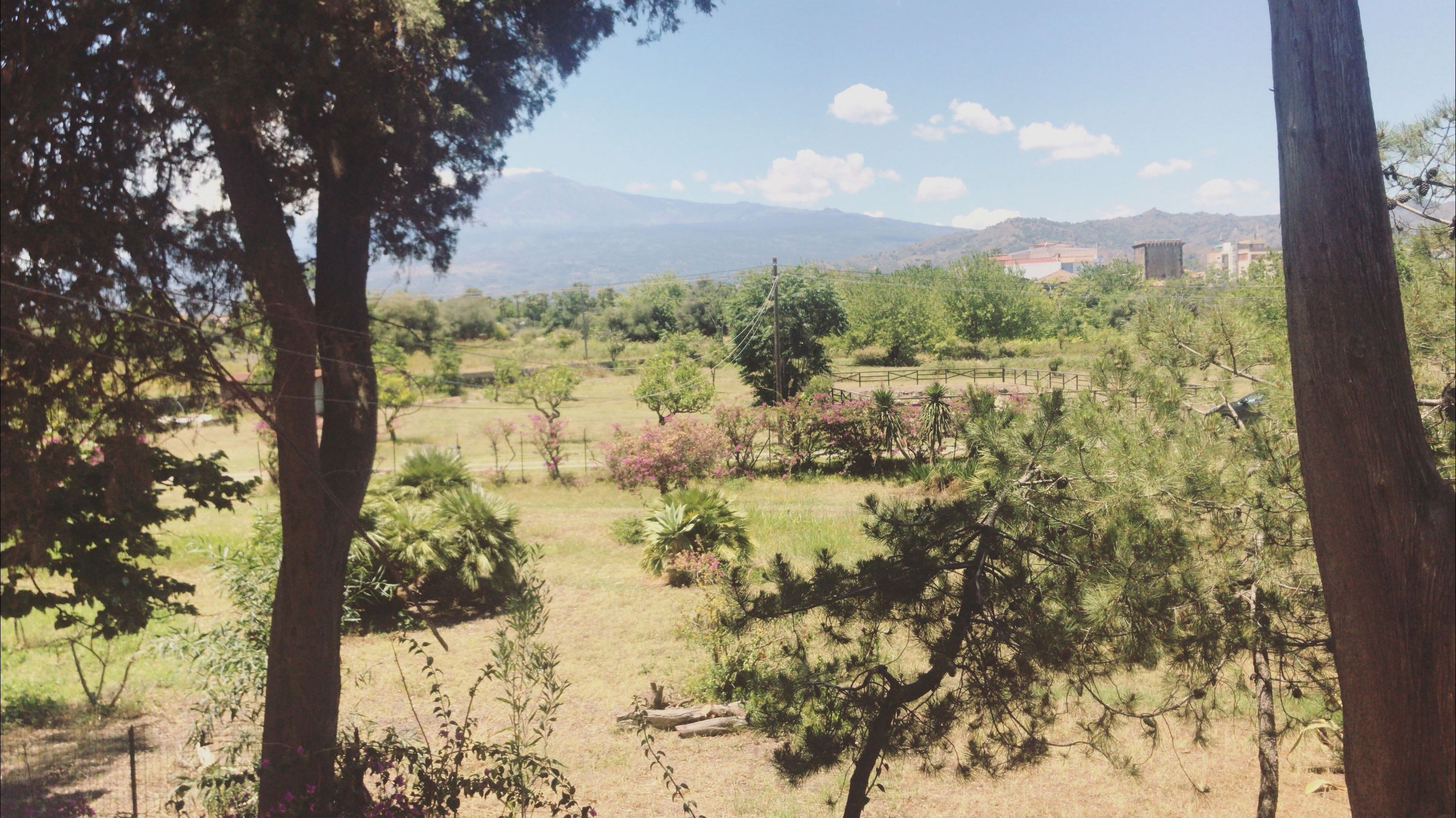 Vista esterna