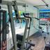 Palestra