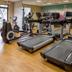 Palestra