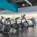 Palestra