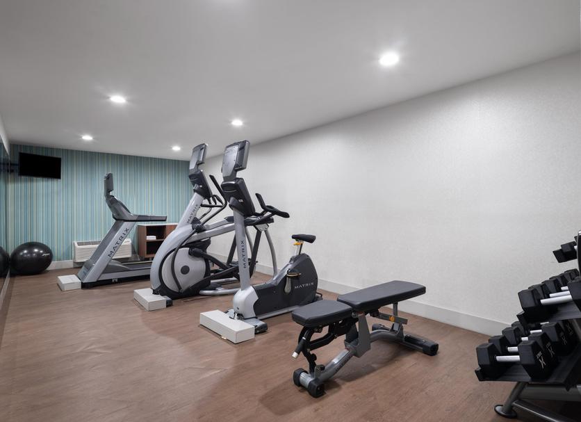 Palestra Foto