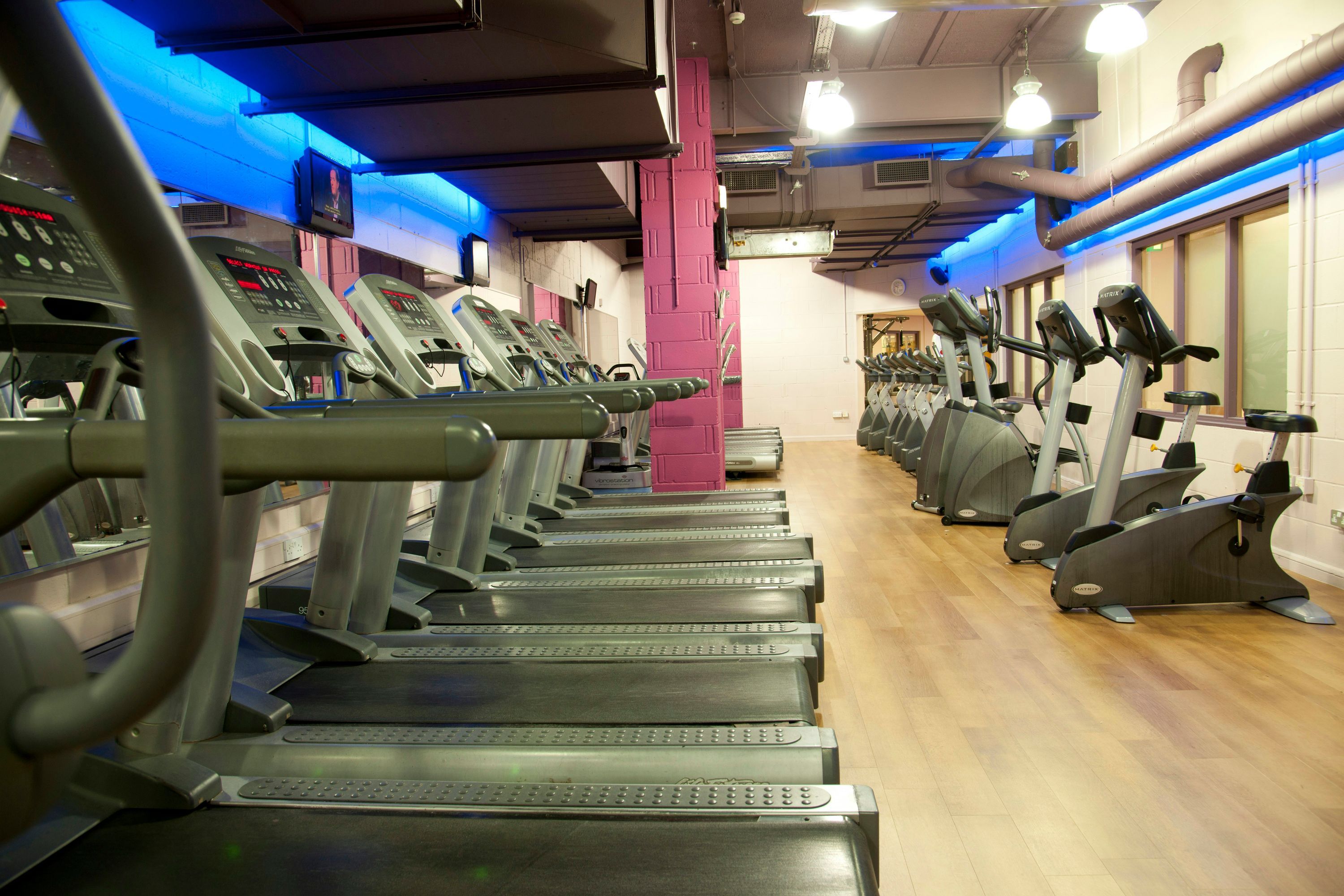 Palestra