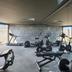 Palestra